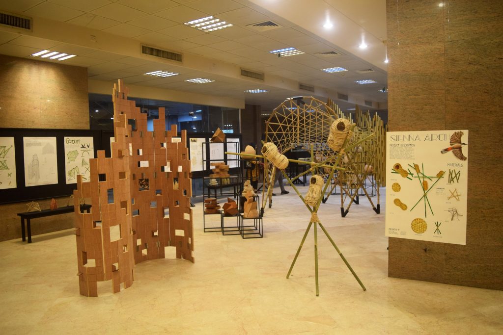 NSU Architecture Department