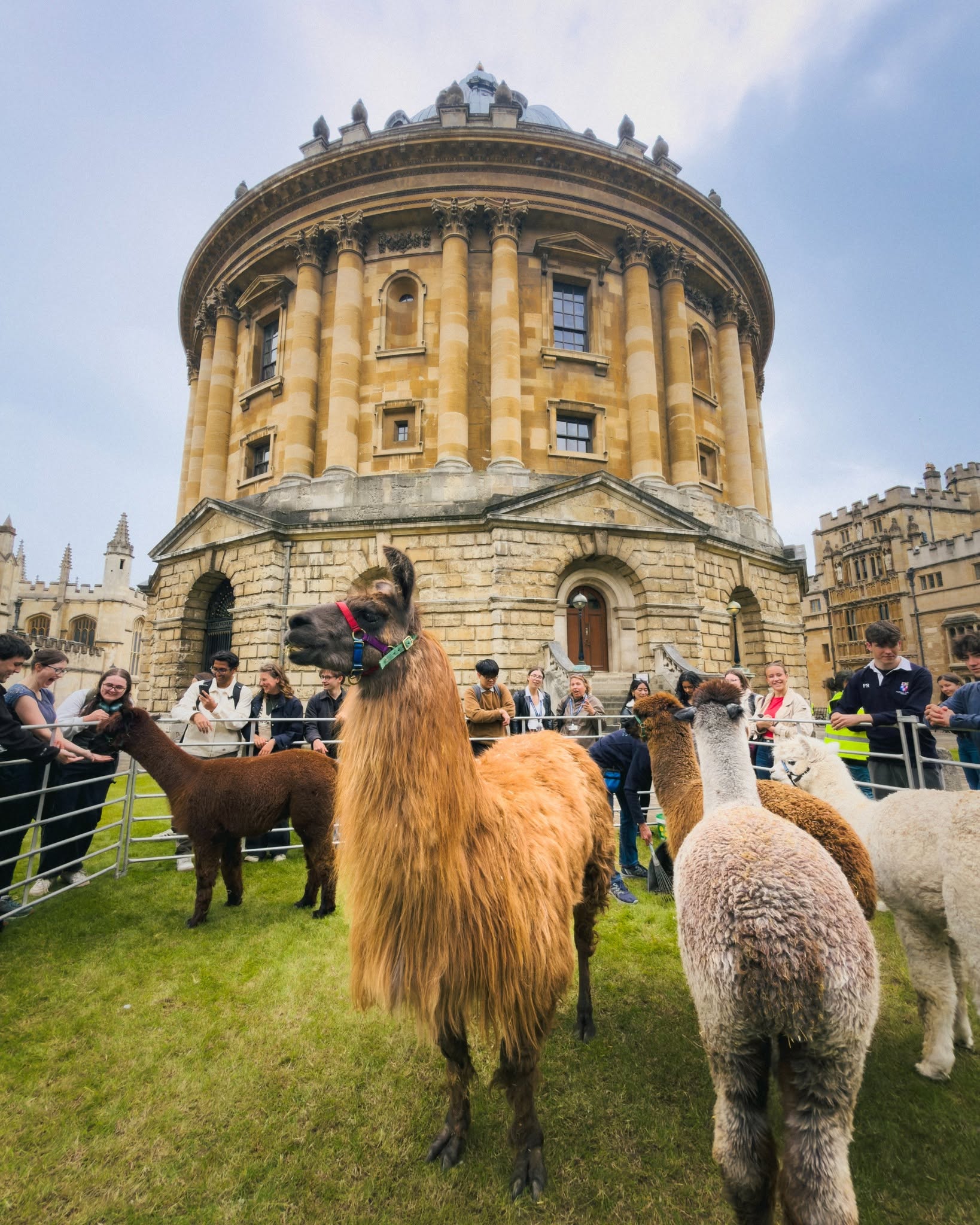 Oxford University’s Fully Funded Clarendon Scholarship Opens for International Students