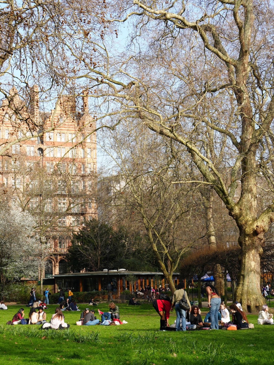 Apply Now for the MSc AI and Sustainability at SOAS University of London