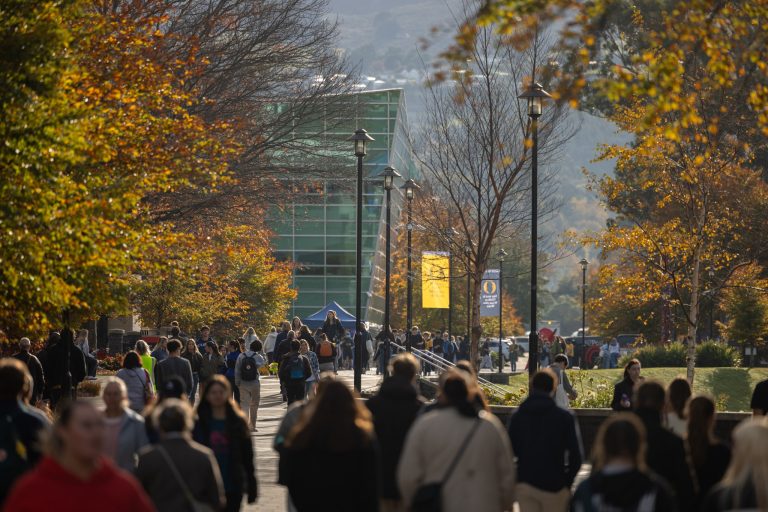 PhD scholarship 2026 in New Zealand for any country including Bangladesh