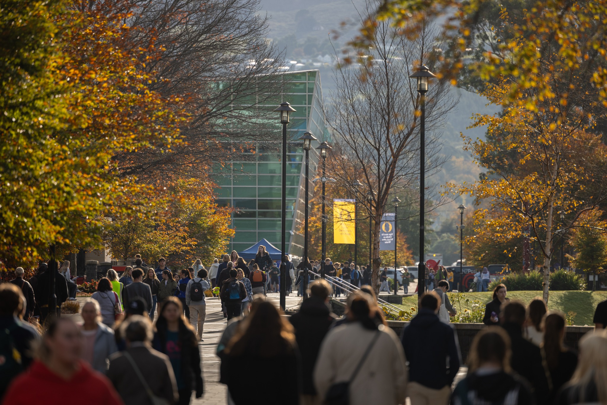 PhD scholarship 2026 in New Zealand for any country including Bangladesh