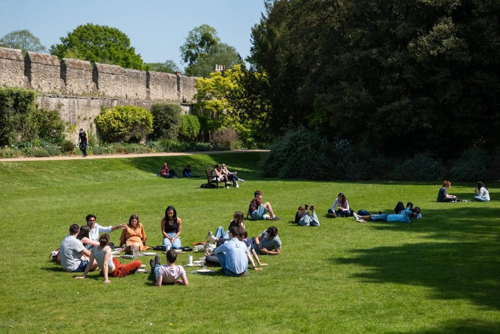 University of Oxford: The top-ranked universities in the UK are led by the University of Oxford and University of Cambridge, which frequently vie for the number one spot globally and nationally. Other consistent leaders include Imperial College London, UCL (University College London), and the London School of Economics (LSE).